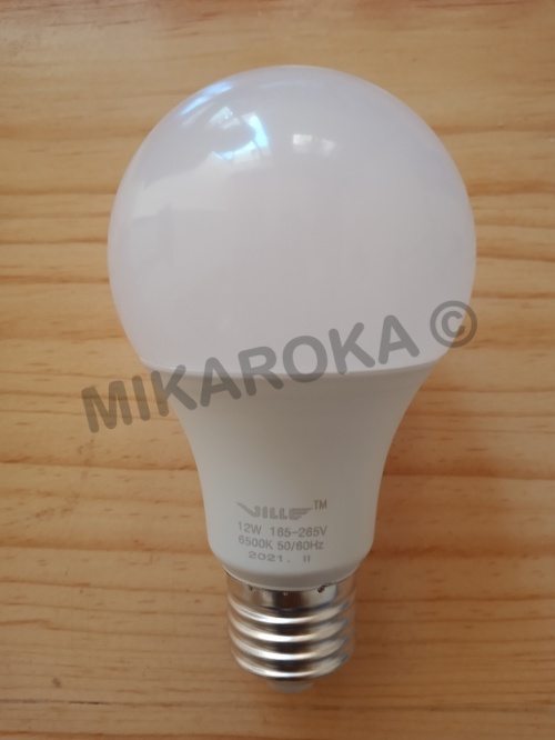 Ampoule LED bulb 12 watt