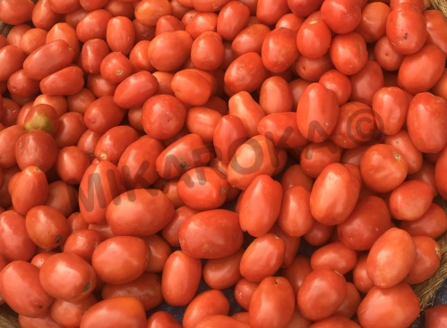 Tomates fraîches calibre moyen vendues au kilo