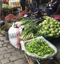 Prix des légumes à Madagascar et Antananarivo - Mikaroka
