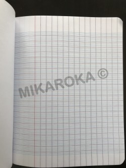 Cahier 96 pages Calligraphe Ligne 7000