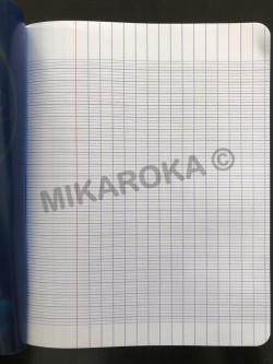 Cahier  96 pages petit format seyes Premier Plus