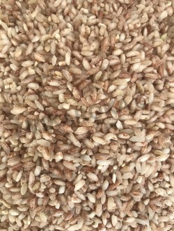 Vary gasy mena