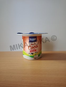 yaourt coco socolait