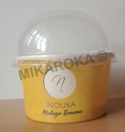 Crème glacée Nouka malaga banane
