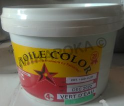 peinture vert d'eau etoile color 4kg