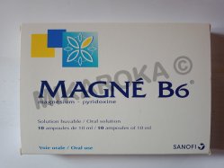Magné B6